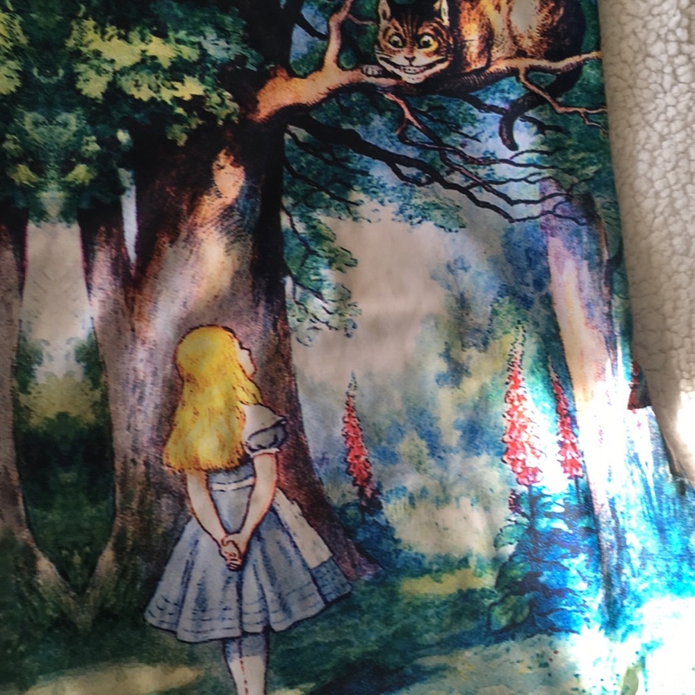 Alice and the Cat one piece